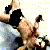 HBK humping the air.